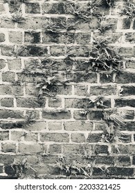 Wall Of Fort Clinch In Amelia Island, Florida