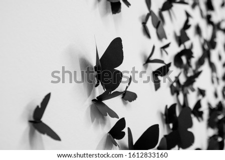 Wall full of black butterflies. An artistic take on those beautiful insect