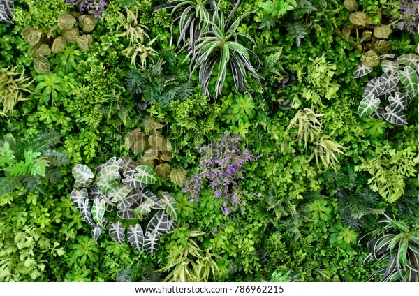 wall is full of\
Vegetation green color.