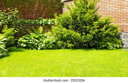 A wall Garden with cipress and bushes - Shutterstock ID 25013206