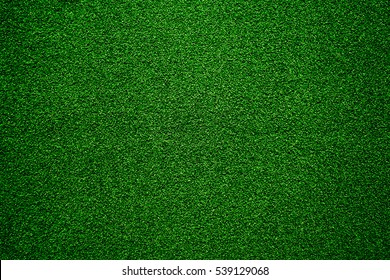 Wall grass