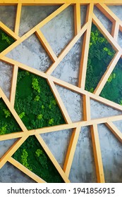  Wall Of  Green Moss And  Wood In A  Interior