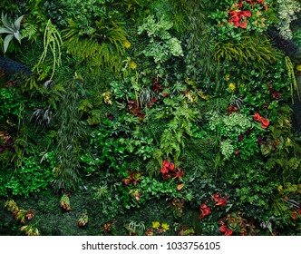 Wall With Greenery