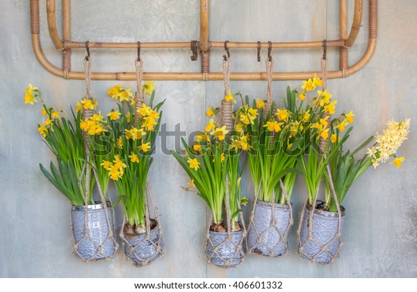 Wall Hanging Vases Tulips Stock Photo Edit Now 406601332