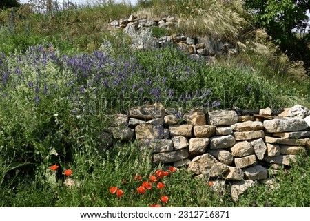 Wall for insects and lizards in the vineyards