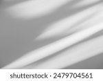 Wall interior background, studio  and backdrops show products.with shadow from window color white and grey. background for text insertion and presentation product 