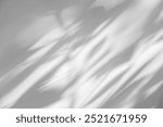 Wall interior background, studio  and backdrops show products.with shadow from window color white and grey. background for text insertion and presentation product 