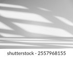 Wall interior background, studio  and backdrops show products.with shadow from window color white and grey. background for text insertion and presentation product 