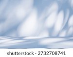 Wall interior background, studio  and backdrops show products. with leaf shadow from window color blue tone. background for text insertion and presentation of product