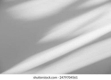 Wall interior background, studio  and backdrops show products.with shadow from window color white and grey. background for text insertion and presentation product 