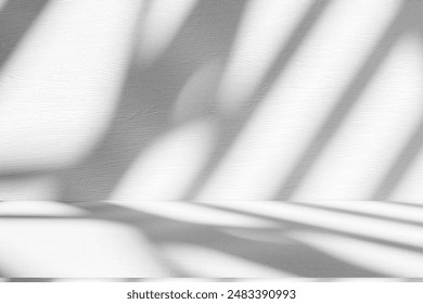 Wall interior background, studio  and backdrops show products.with shadow from window color white and grey. background for text insertion and presentation product 