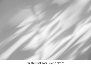 Wall interior background, studio  and backdrops show products.with shadow from window color white and grey. background for text insertion and presentation product 