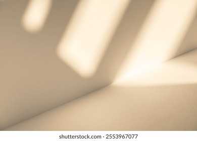Wall interior background, studio and backdrops show products. with leaf shadow from window color beige and white. background for text insertion and presentation of product