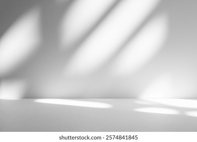 Wall interior background, studio  and backdrops show products.with shadow from window color white and grey. background for text insertion and presentation product 