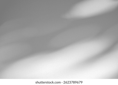 Wall interior background, studio  and backdrops show products.with shadow from window color white and grey. background for text insertion and presentation product 