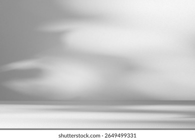 Wall interior background, studio  and backdrops show products.with shadow from window color white and grey. background for text insertion and presentation product 
