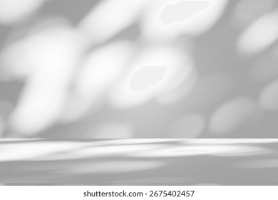 Wall interior background, studio  and backdrops show products.with shadow from window color white and grey. background for text insertion and presentation product