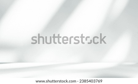 Wall interior background, studio  and backdrops show products.with shadow from window color white and grey. background for text insertion and presentation product 