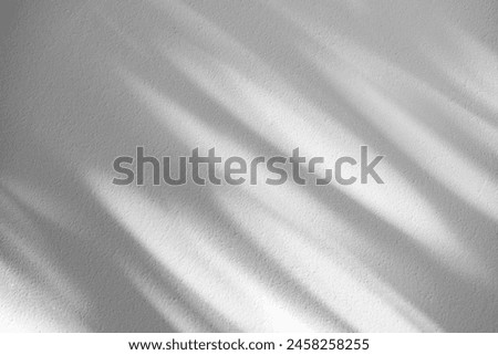 Wall interior background, studio  and backdrops show products.with shadow from window color white and grey. background for text insertion and presentation product 