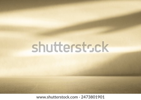 Wall interior background, studio  and backdrops show products. with leaf shadow leaf  from window color beige and white. background for text insertion and presentation of product 