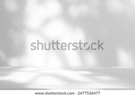 Wall interior background, studio  and backdrops show products.with shadow from window color white and grey. background for text insertion and presentation product 