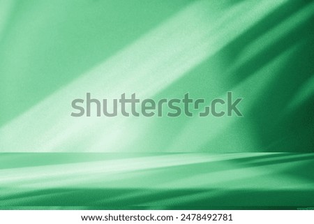Wall interior background, studio  and backdrops show products.with shadow from window color green background for text insertion and presentation product 