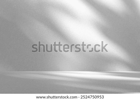 Wall interior background, studio  and backdrops show products.with shadow from window color white and grey. background for text insertion and presentation product 