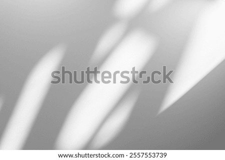 Wall interior background, studio  and backdrops show products.with shadow from window color white and grey. background for text insertion and presentation product 