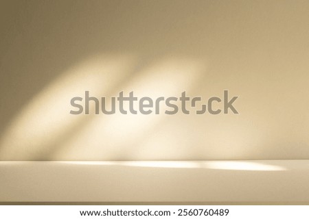 Wall interior background, studio  and backdrops show products. with leaf shadow from window color beige and white. background for text insertion and presentation of product 