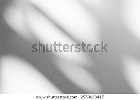 Wall interior background, studio  and backdrops show products.with shadow from window color white and grey. background for text insertion and presentation product 