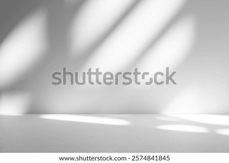 Wall interior background, studio  and backdrops show products.with shadow from window color white and grey. background for text insertion and presentation product 