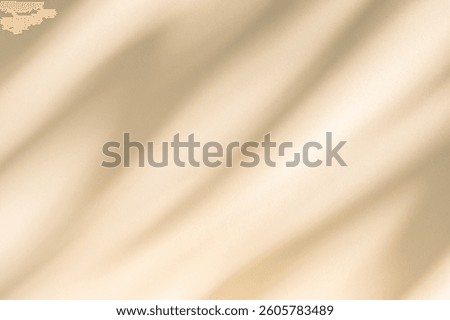 Wall interior background, studio  and backdrops show products. with leaf shadow from window color beige and white. background for text insertion and presentation of product 