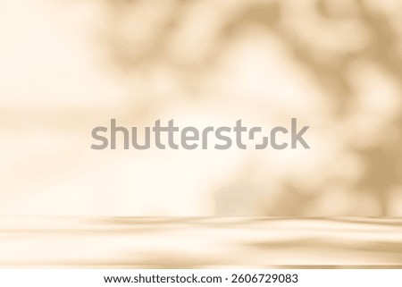 Wall interior background, studio  and backdrops show products. with leaf shadow from window color beige and white. background for text insertion and presentation of product 