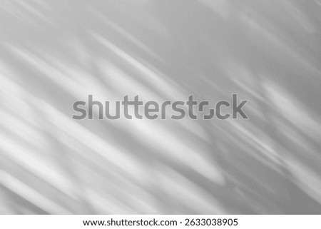 Wall interior background, studio  and backdrops show products.with shadow from window color white and grey. background for text insertion and presentation product 