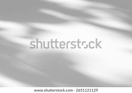 Wall interior background, studio  and backdrops show products.with shadow from window color white and grey. background for text insertion and presentation product 