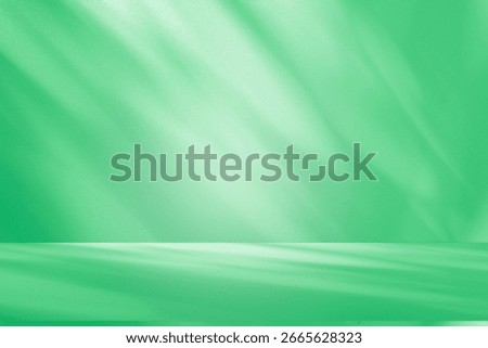 Wall interior background, studio  and backdrops show products. with shadow from window color green and white. background for text insertion and presentation of product 