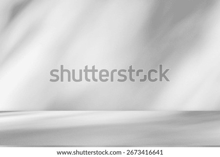Wall interior background, studio  and backdrops show products.with shadow from window color white and grey. background for text insertion and presentation product