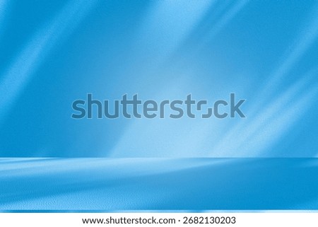 Wall interior background, studio  and backdrops show products. with leaf shadow from window color dark blue tone. background for text insertion and presentation of product