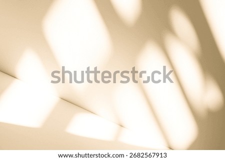 Wall interior background, studio  and backdrops show products. with leaf shadow from window color beige and white. background for text insertion and presentation of product 