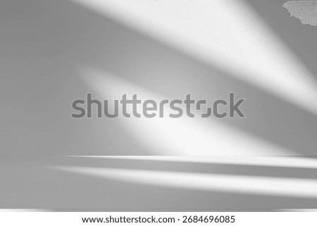 Wall interior background, studio  and backdrops show products.with shadow from window color white and grey. background for text insertion and presentation product