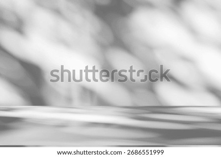 Wall interior background, studio  and backdrops show products.with shadow from window color white and grey. background for text insertion and presentation produc