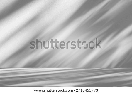 Wall interior background, studio  and backdrops show products.with shadow from window color white and grey. background for text insertion and presentation product