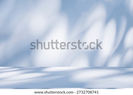 Wall interior background, studio  and backdrops show products. with leaf shadow from window color blue tone. background for text insertion and presentation of product