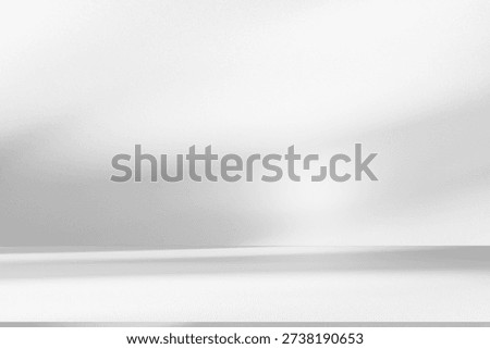 Wall interior background, studio  and backdrops show products.with shadow from window color white and grey. background for text insertion and presentation 