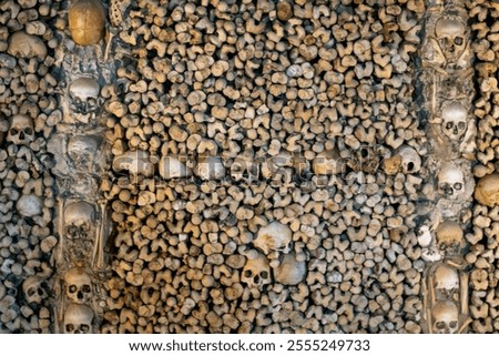 Wall made of human skulls and bones inside the capela dos ossos (chapel of bones) in evora, portugal