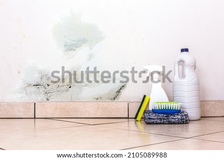 wall with mold problem and water infiltration, with bucket, squirt, sponge and brush for cleaning next to it.