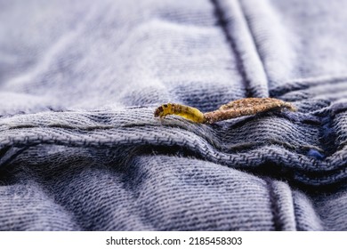 4,896 Larva Skin Images, Stock Photos & Vectors | Shutterstock