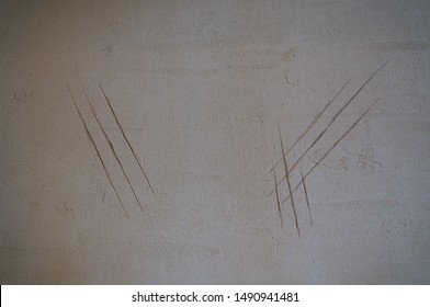 Wall Nail Mark Dinosaur Beast