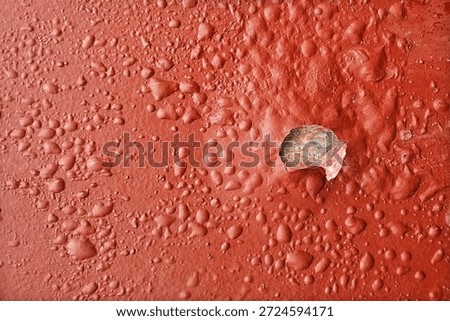 wall paint that has started to blister