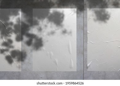 Wall Paper Poster Mockup Glued Paper Wrinkled Effect Isolated Blank Templates Set